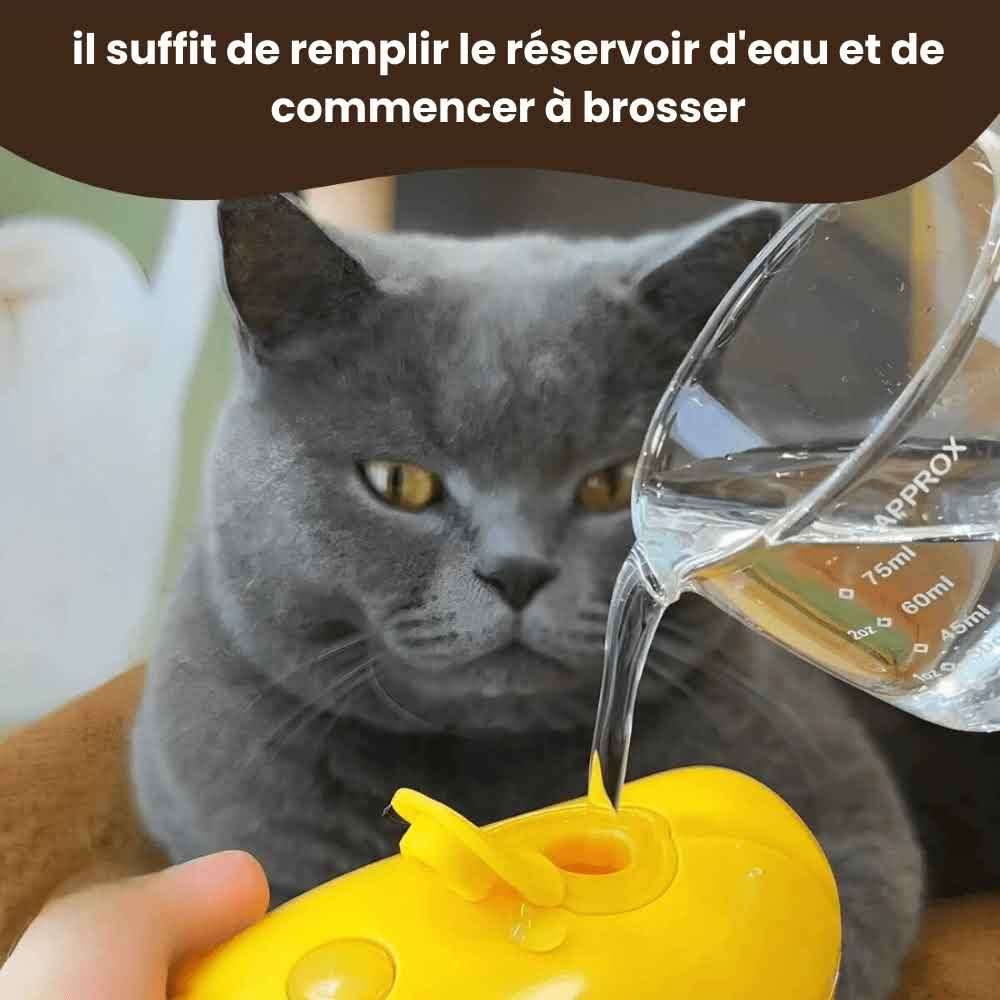 Mangue Jaune – Brosse Vapeur pour Animaux 3-en-1 (1 à 2 pièces) – Brosse de Massage pour Chiens avec Pulvérisateur – Soin Beauté, Démêlage et Élimination des Poils Morts – Peigne de Toilettage pour Chats et Chiens